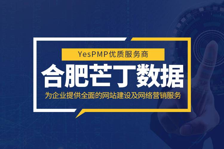 数字浪潮下的深耕者 合肥芒丁数据如何以互联网应用服务赋能企业